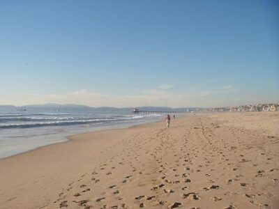 Do You Want to Swim With Tarballs? Image